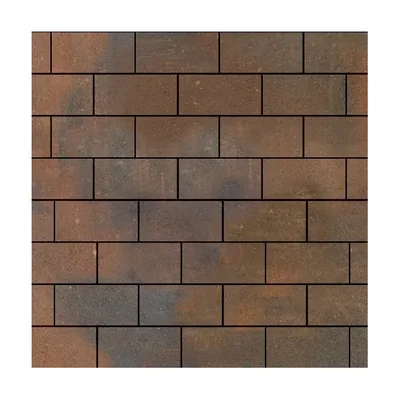 Прямоугольник 200×100 мм, 60 мм, Штайнрус — раскладка